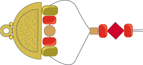 tsdn-fig2-l.jpg