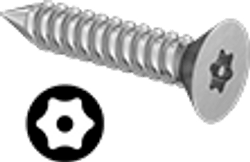 Tamper Resistant Pin-in Torx Flat Head Screw