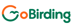 GoBirding
