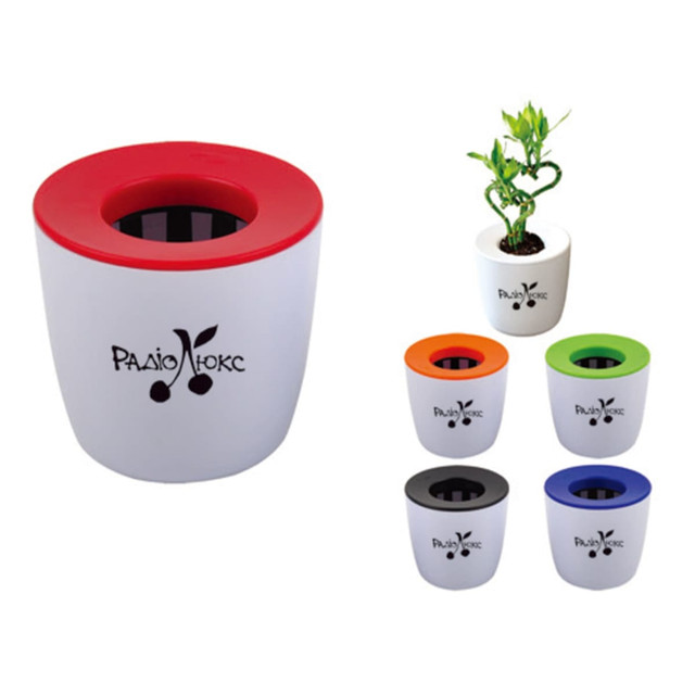 Flower Pot