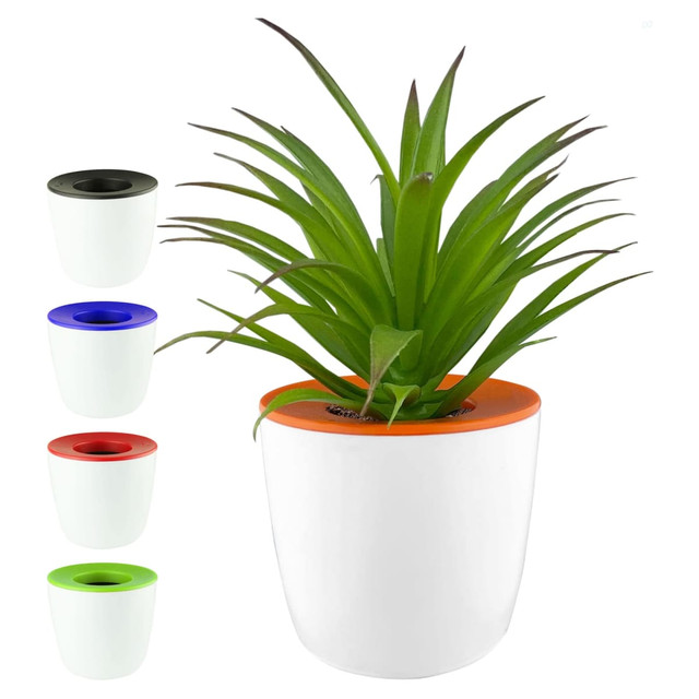 A white mini desk plant pot with a vibrant orange top, featuring a green plant. Includes additional pots in black, blue, and green.