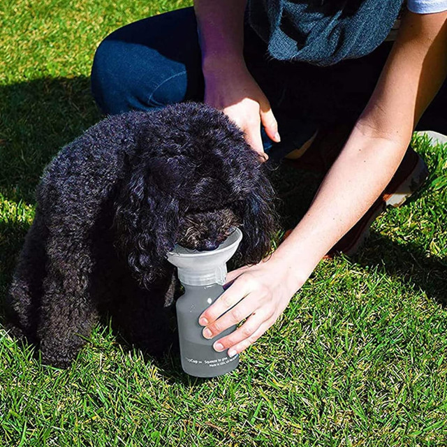 A drink bottle with a grey body and a detachable, dog-friendly cup on top, held by a person on grass.
