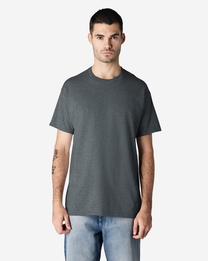 A grey adult T-shirt displayed on a model, featuring short sleeves and a round neckline. It has a logo.