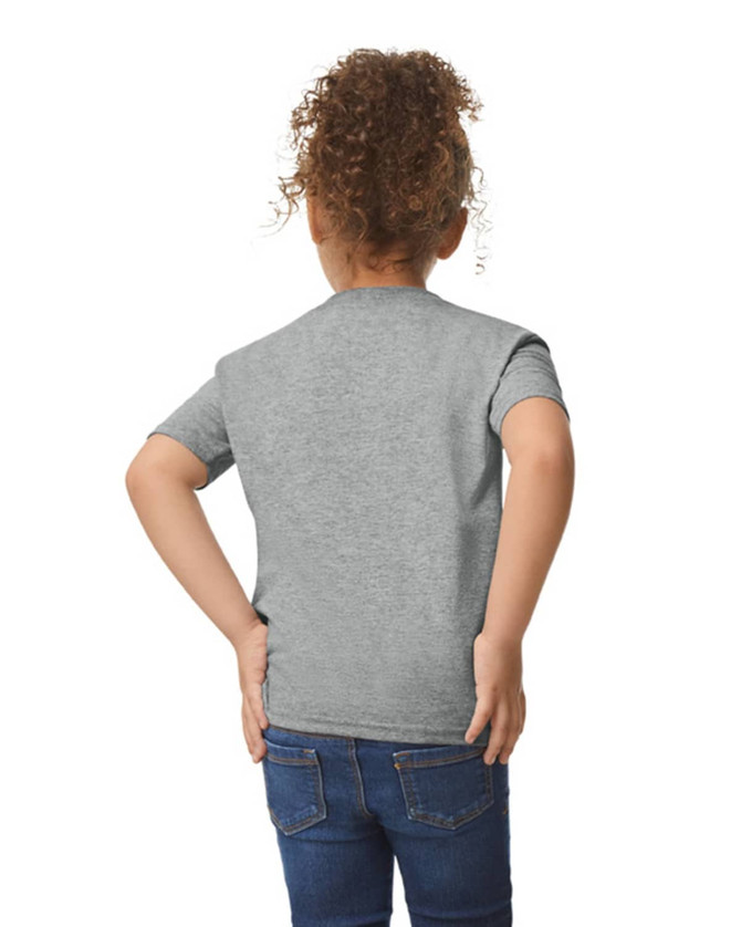 A grey toddler T-shirt displayed on a child, featuring short sleeves and a simple back design.