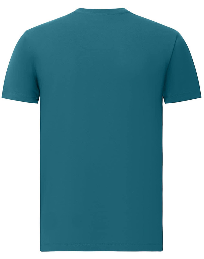 A men's premium cotton short-sleeve tee shirt in a teal colour with a plain back and a logo.