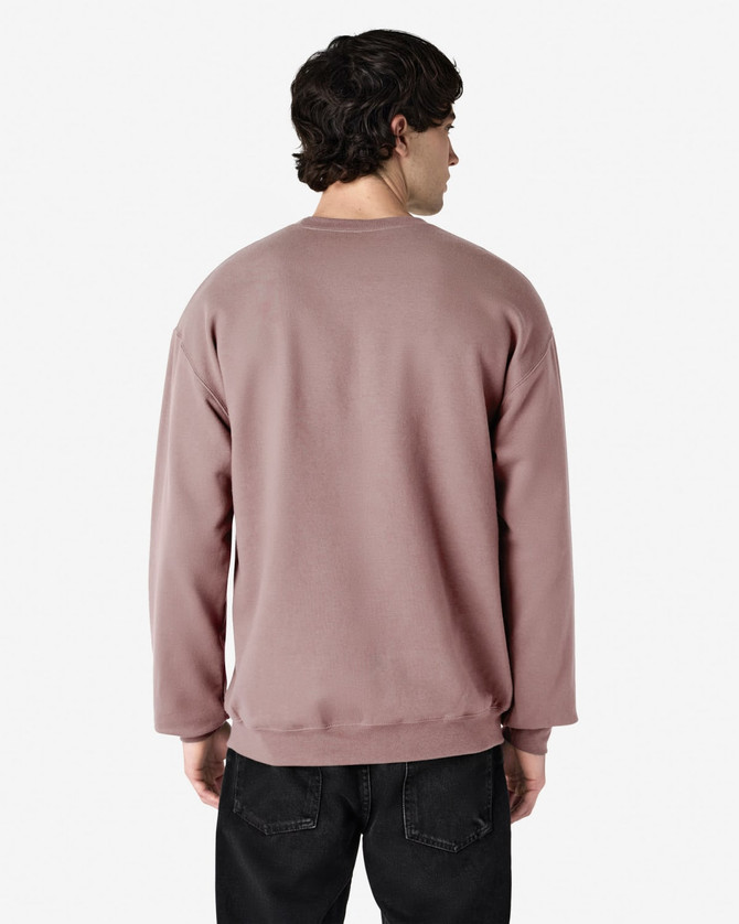 A softstyle adult sweatshirt in a muted mauve colour, featuring a simple back view and long sleeves.