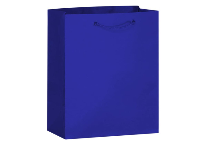A medium laminated bag in a vibrant blue colour, featuring a matching handle and a sleek design.
