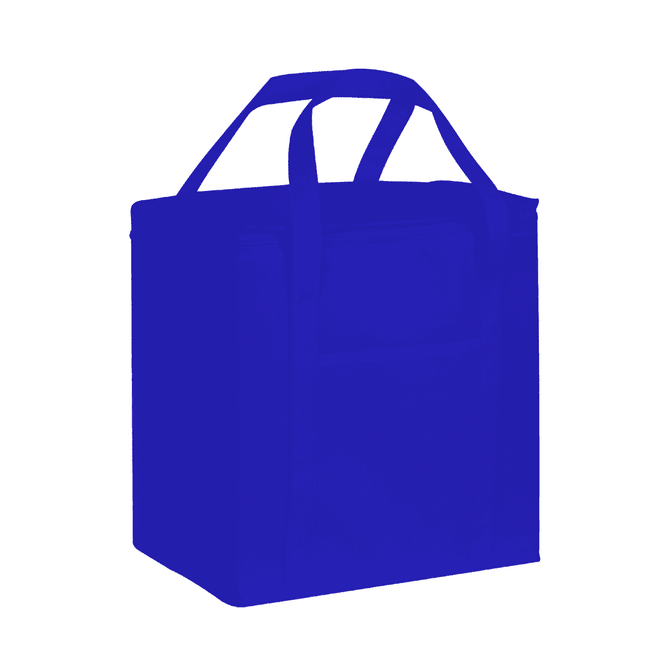 A blue 20 litre non-woven cooler bag with two handles and a front pocket, featuring a logo.