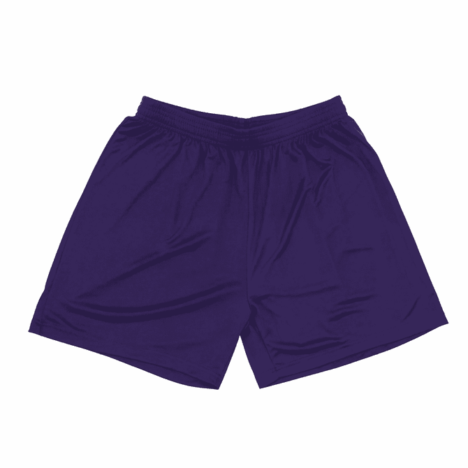A pair of purple shorts with an elastic waistband and a smooth fabric. The item has a logo on one side.
