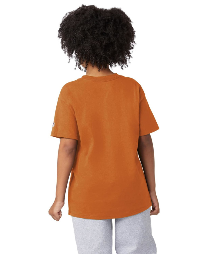 A short sleeve t-shirt in burnt orange, featuring a logo on the sleeve.