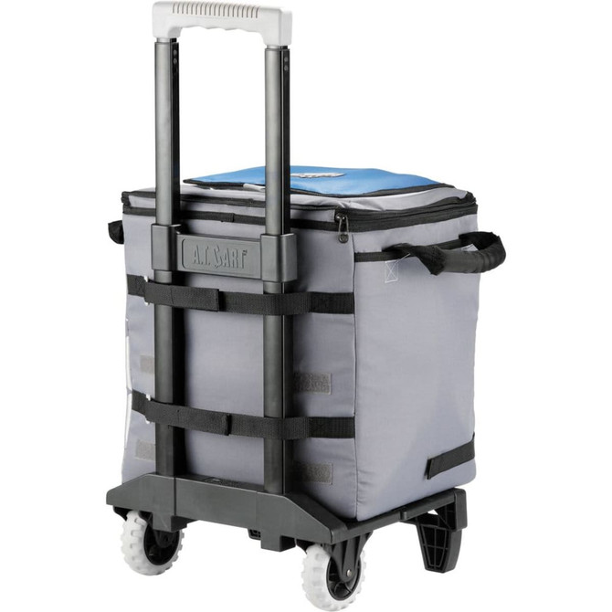 Arctic Zone 50 Can Cooler 38L