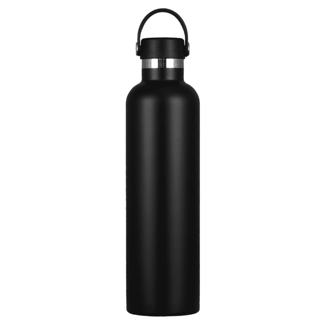 A drink bottle in matte black stainless steel with a silver lid, featuring a handle for easy carrying.