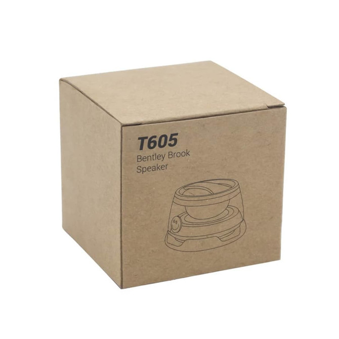 A brown cardboard box containing the Bentley Brook Speaker, featuring a minimalist design and a logo.