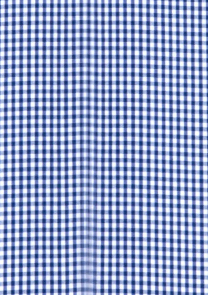 A blue and white checkered fabric pattern, featuring small squares, suitable for a button-up shirt design.