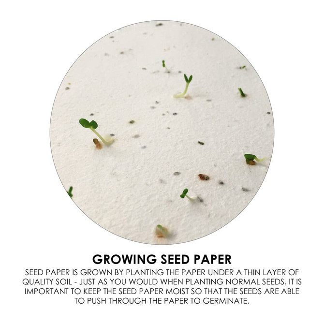 A circular close-up of seed paper showing small green sprouts emerging from a white background with black specks.
