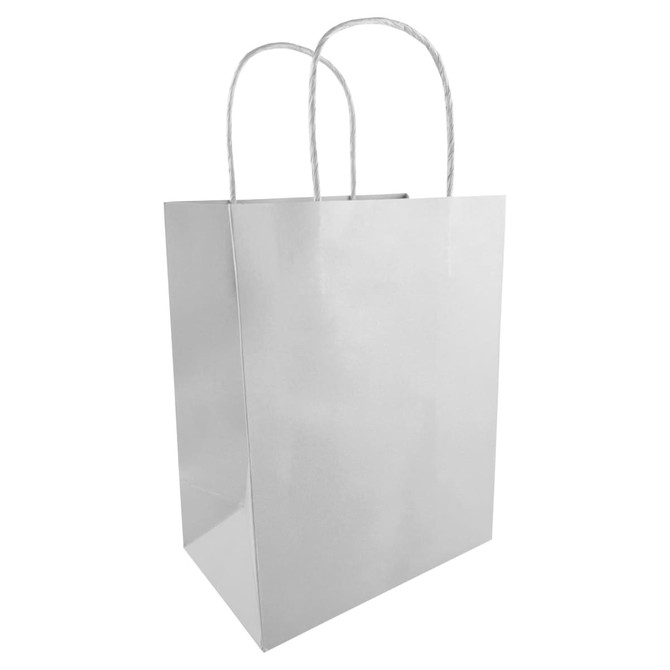 A medium kraft paper bag in a shiny silver finish with two rope handles and a square base.