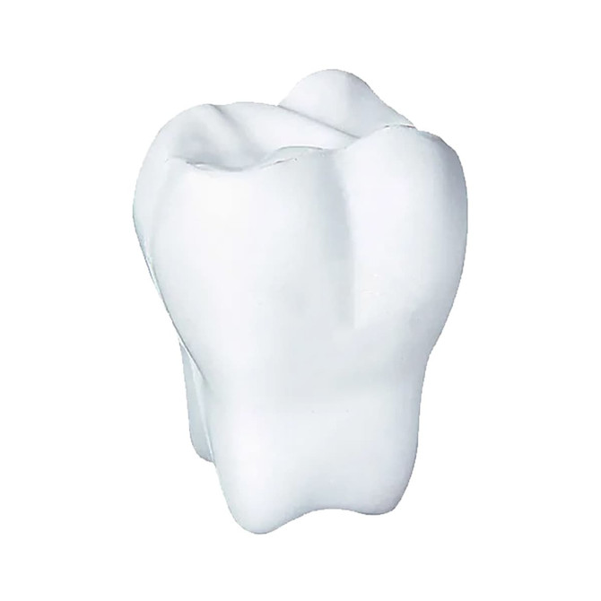A white stress toy shaped like a tooth, featuring smooth surfaces and rounded edges. It has a logo on it.