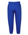 Blue track pants featuring an elastic waistband and cuffed ankles. The product has a logo on it.