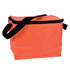 An orange cooler bag with a black zip and handle. The bag has a plain surface and includes a logo.