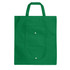 A green foldable non-woven shopping bag with an exterior pocket and two handle straps. Features a logo.