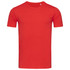 A red crew neck t-shirt featuring short sleeves and a simple design, with a logo present.