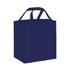 A navy blue 20 litre non-woven cooler bag with sturdy handles and a logo on the front.