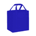 A blue 20 litre non-woven cooler bag with two handles and a front pocket, featuring a logo.
