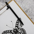 A graphite pencil in black sits atop a white page featuring a detailed butterfly illustration.