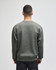 A grey adult crewneck sweatshirt is displayed from the back, featuring long sleeves and a simple design.