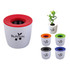 Flower Pot