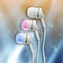 Extended Base Ear Phones