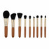 Classic Travel Brush Set