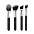Pro Travel Brush Set