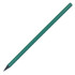 A green pencil with a sharpened point, featuring a simple design and no visible branding.