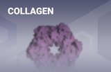 Collagen