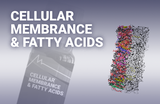 Cellular membrance&fatty acids