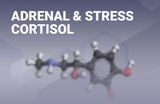 Adrenal/stress/cortisol