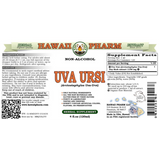 Uva Ursi - Hawaii Pharm 4 oz (120ml) SPECIAL ORDER