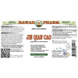 Lysimachia (Gold Coin Grass / Jin Qian Cao) - Hawaii Pharm 4 oz (120 ml) SPECIAL ORDER