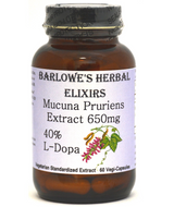 Mucuna Pruriens (WHITE) (40% L-dopa) 60caps - Barlowe's Herbal Elixirs SPECIAL ORDER