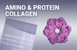 Amino/protein/collagen