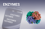 Enzymes