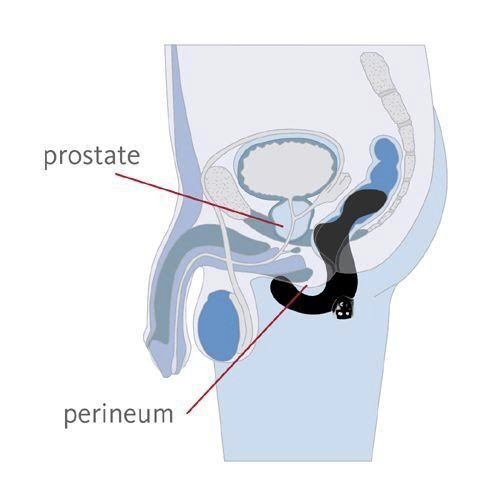 Fun Factory Duke Prostate Stimulator Fun Factory Duke Prostate Stimulator