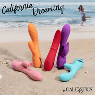 Introducing CalExotics California Dreaming Collection