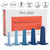 CalExotics They-ology 5-Piece Wearable Anal Training Set Package