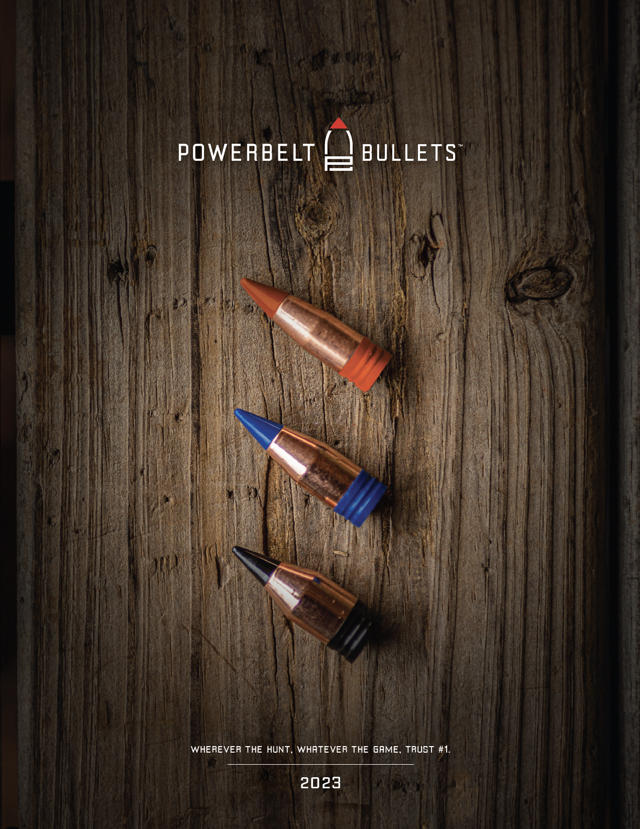PowerBelt AeroTip Bullets
