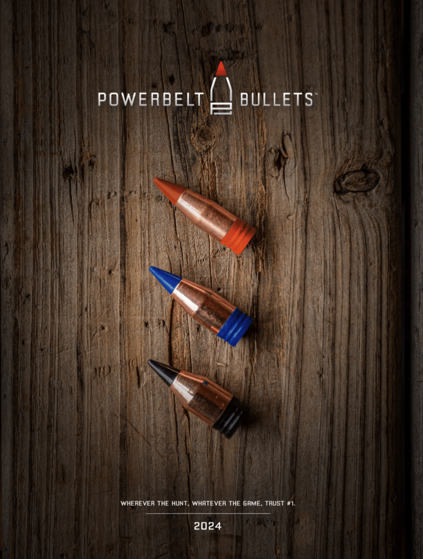 Cover of 