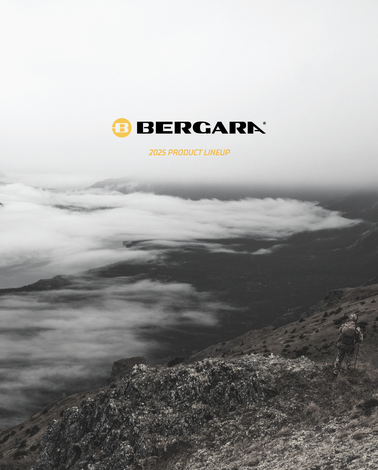 Cover of 