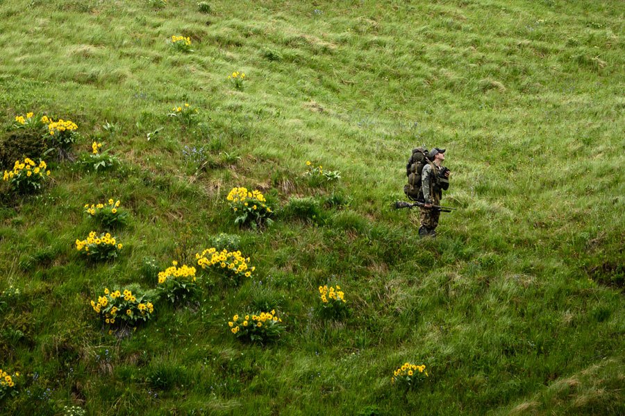 Man dressed in camo surround by green mountain landscape.