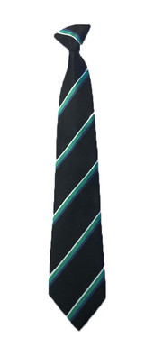 Abbot Beyne School Clip On Tie